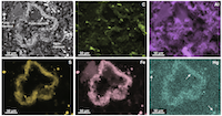 Global and Planetary Change paper